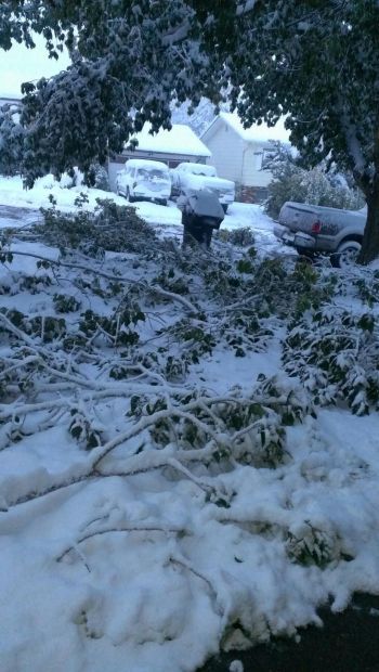 Winter Storm Atlas